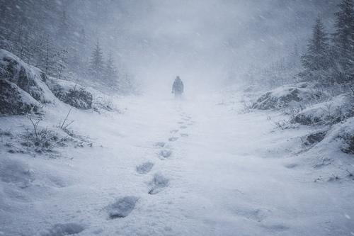 аллисер торн игра престолов