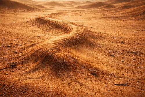 олгой хорхой