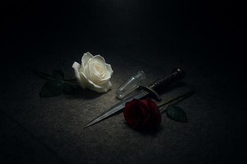 ромео и джульетта иллюстрация к анализу