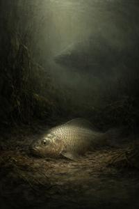 Обложка книги Карась-идеалист